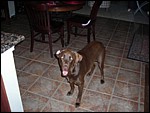DSCN0360.JPG