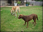 DSCN0369.JPG