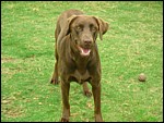 DSCN0372.JPG