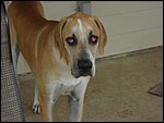 DSCN0373.JPG