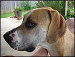 DSCN0374.JPG