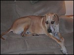 DSCN0377.JPG