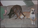 DSCN0379.JPG