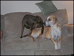 DSCN0380.JPG