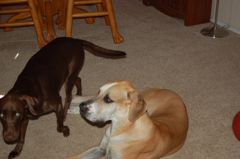 DSC_0001.JPG