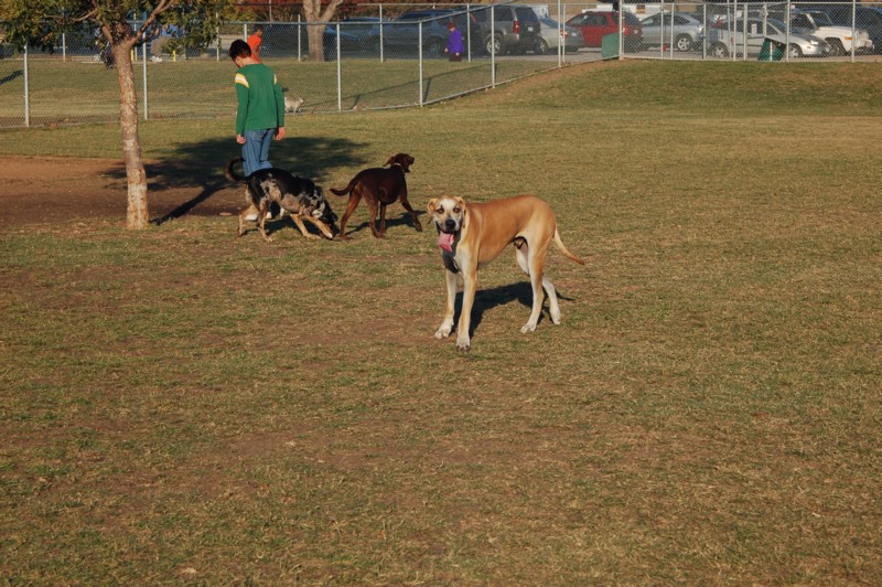 DSC_0047.JPG