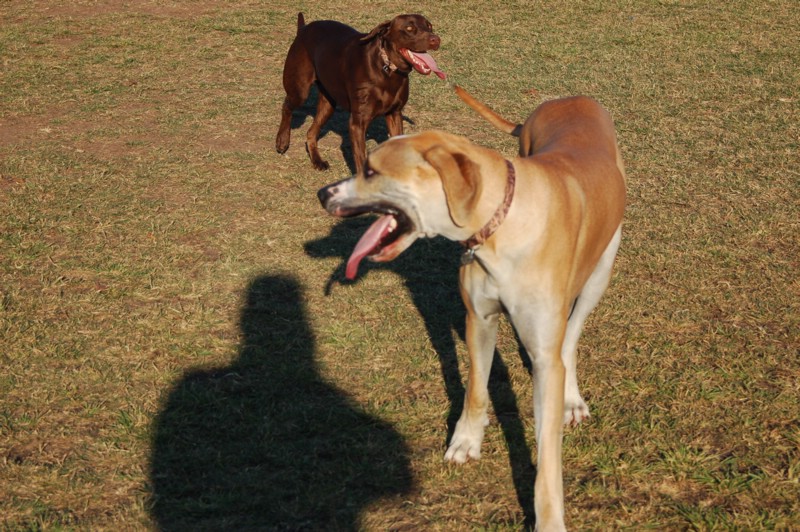 DSC_0048.JPG