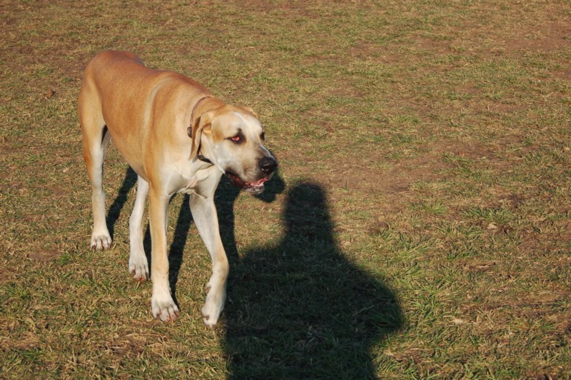 DSC_0050.JPG