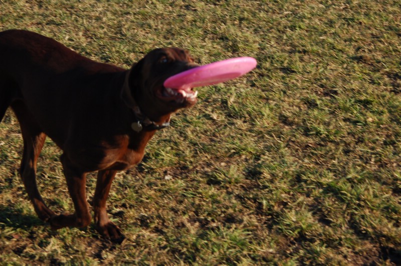 DSC_0054.JPG