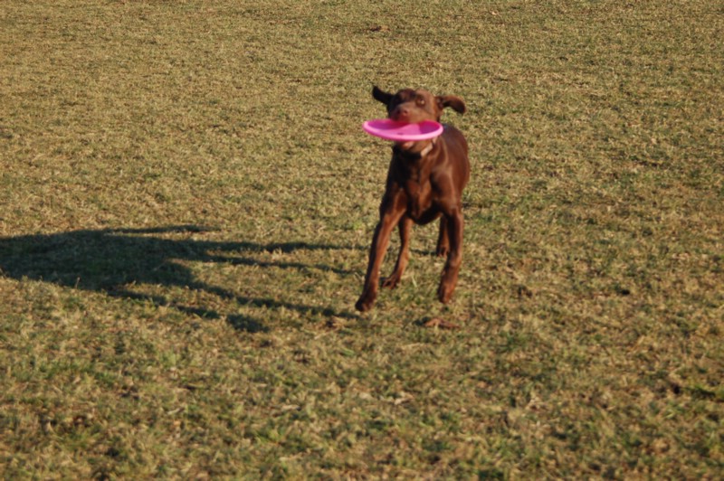 DSC_0055.JPG