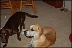 DSC_0001.JPG