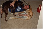 DSC_0003.JPG