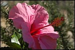 DSC_0010.JPG