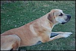 DSC_0011.JPG