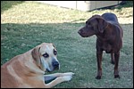 DSC_0013.JPG