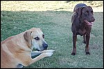 DSC_0014.JPG