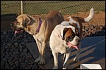 DSC_0040.JPG