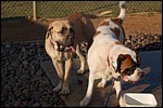 DSC_0041.JPG