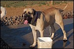DSC_0043.JPG