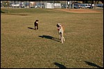 DSC_0045.JPG