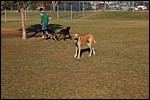 DSC_0047.JPG