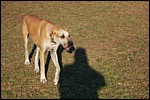DSC_0050.JPG