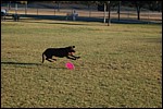 DSC_0052.JPG