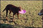 DSC_0053.JPG