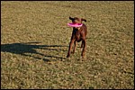 DSC_0055.JPG