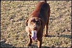 DSC_0056.JPG