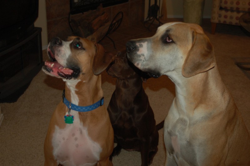 DSC_0016.JPG