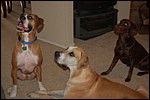 DSC_0013.JPG