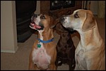 DSC_0014.JPG