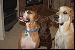 DSC_0015.JPG
