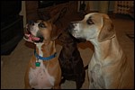 DSC_0016.JPG