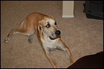 DSC_0017.JPG