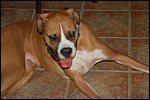 DSC_0018.JPG