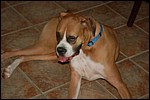 DSC_0019.JPG