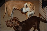 DSC_0020.JPG