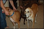 DSC_0021.JPG