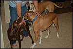 DSC_0023.JPG