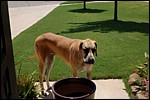 DSC_0158.JPG