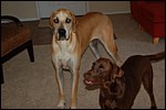 DSC_0174.JPG