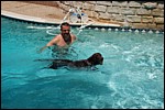 DSC_0002.JPG