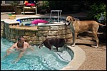 DSC_0006.JPG