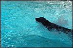 DSC_0007.JPG