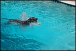 DSC_0008.JPG